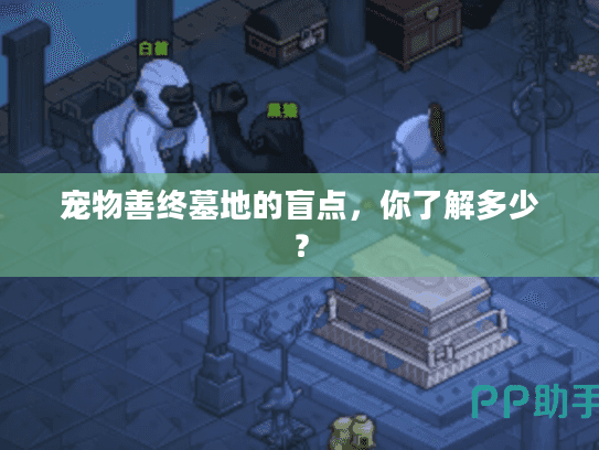 宠物善终墓地的盲点，你了解多少？