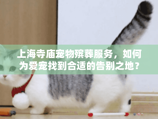 上海寺庙宠物殡葬服务，如何为爱宠找到合适的告别之地？