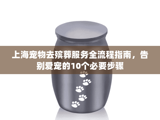 上海宠物去殡葬服务全流程指南，告别爱宠的10个必要步骤