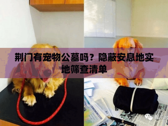 荆门有宠物公墓吗？隐蔽安息地实地筛查清单