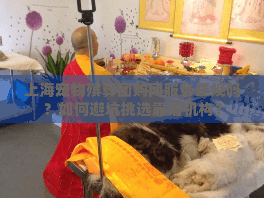 上海宠物殡葬团购网服务正规吗？如何避坑挑选靠谱机构？