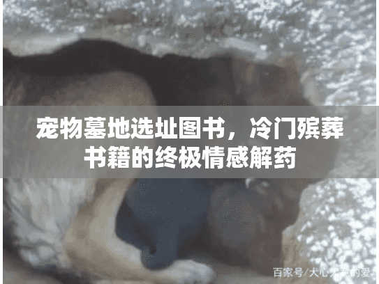 宠物墓地选址图书，冷门殡葬书籍的终极情感解药