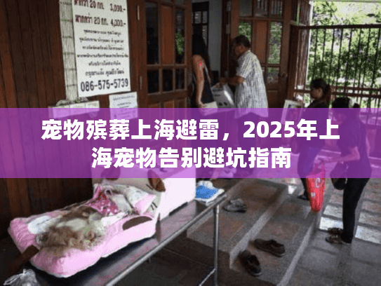 宠物殡葬上海避雷，2025年上海宠物告别避坑指南
