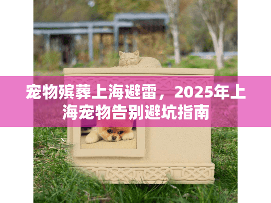 宠物殡葬上海避雷，2025年上海宠物告别避坑指南