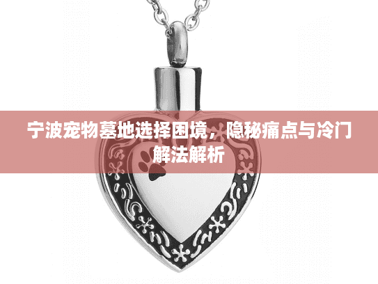 宁波宠物墓地选择困境，隐秘痛点与冷门解法解析