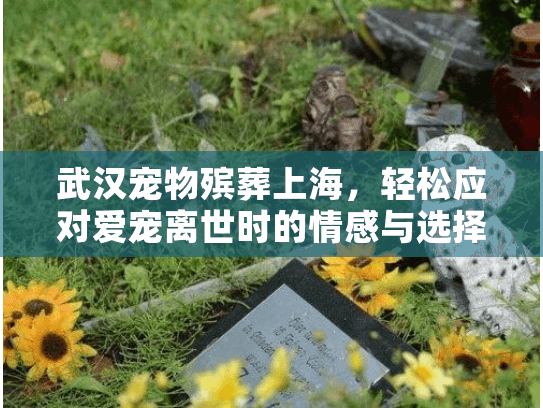 武汉宠物殡葬上海，轻松应对爱宠离世时的情感与选择难题