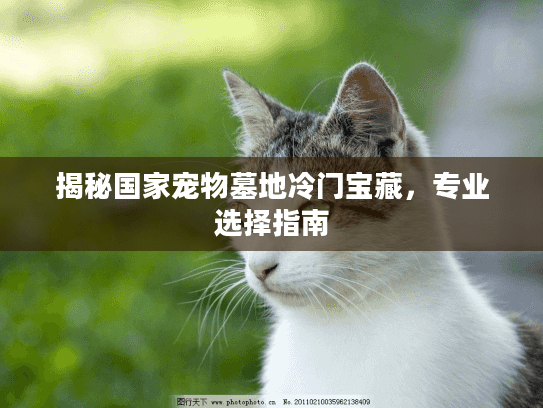 揭秘国家宠物墓地冷门宝藏,专业选择指南 揭秘国家宠物墓地冷门宝藏,专业选择指南