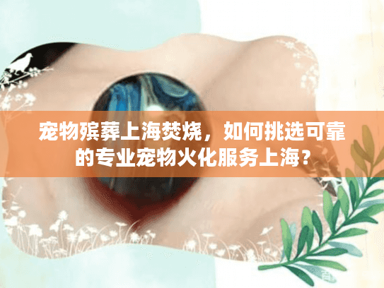 宠物殡葬上海焚烧，如何挑选可靠的专业宠物火化服务上海？