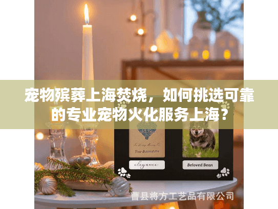 宠物殡葬上海焚烧，如何挑选可靠的专业宠物火化服务上海？