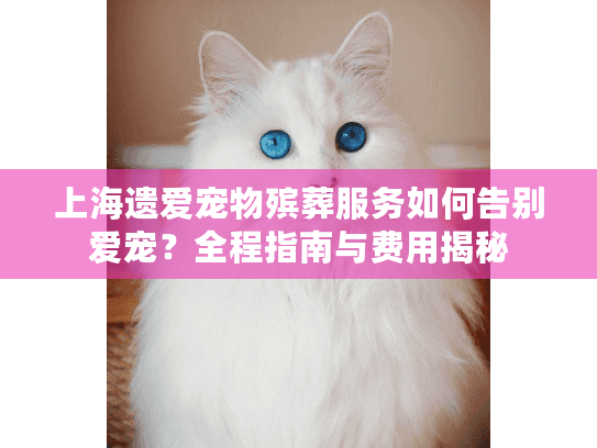 上海遗爱宠物殡葬服务如何告别爱宠？全程指南与费用揭秘