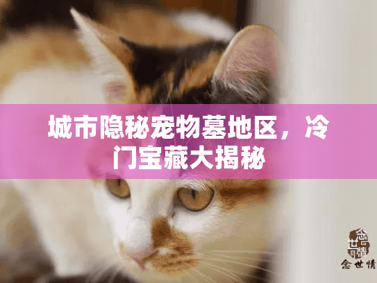 城市隐秘宠物墓地区,冷门宝藏大揭秘 城市隐秘宠物墓地区,冷门宝藏大揭秘
