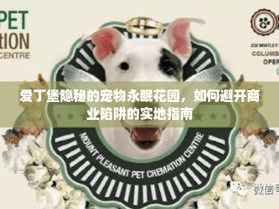 爱丁堡隐秘的宠物永眠花园，如何避开商业陷阱的实地指南