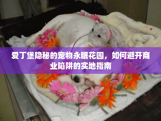爱丁堡隐秘的宠物永眠花园，如何避开商业陷阱的实地指南