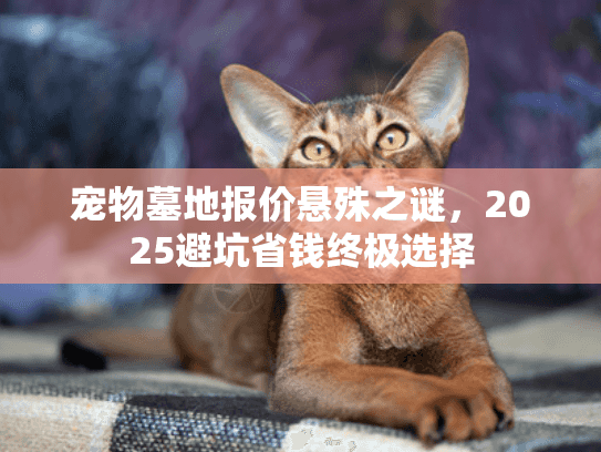 宠物墓地报价悬殊之谜，2025避坑省钱终极选择