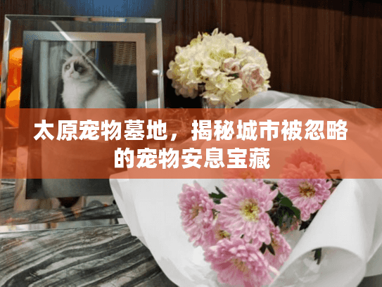 太原宠物墓地,揭秘城市被忽略的宠物安息宝藏 太原宠物墓地,揭秘城市被忽略的宠物安息宝藏