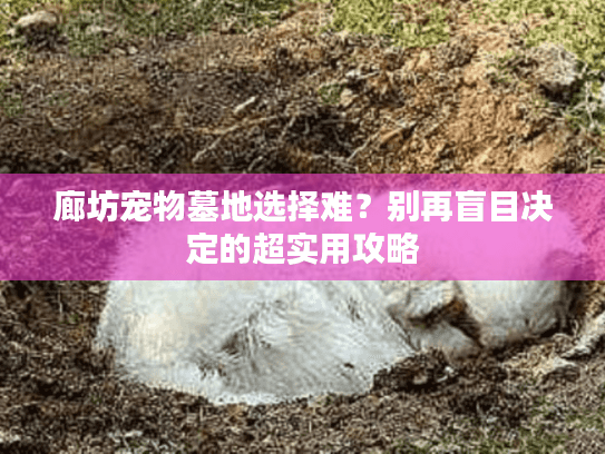 廊坊宠物墓地选择难？别再盲目决定的超实用攻略