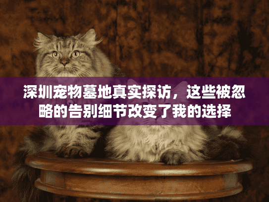 深圳宠物墓地真实探访,这些被忽略的告别细节改变了我的选择 深圳宠物墓地真实探访,这些被忽略的告别细节改变了我的选择