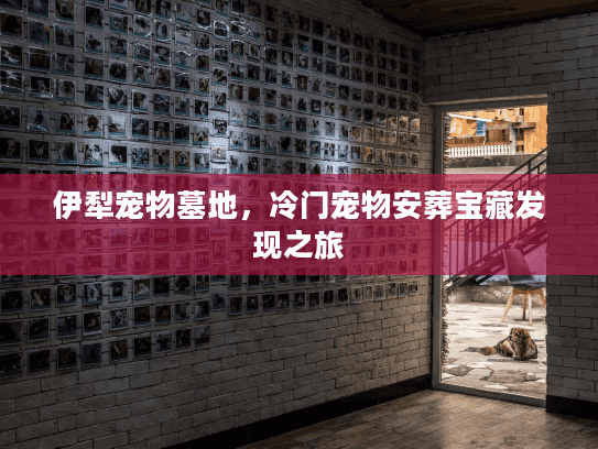 伊犁宠物墓地，冷门宠物安葬宝藏发现之旅