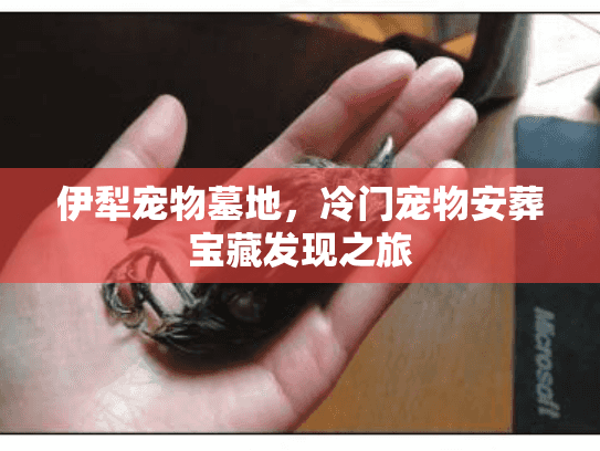 伊犁宠物墓地，冷门宠物安葬宝藏发现之旅