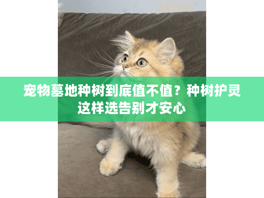 宠物墓地种树到底值不值？种树护灵这样选告别才安心