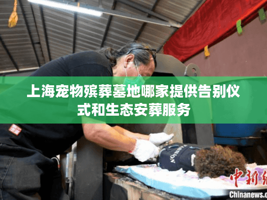 上海宠物殡葬墓地哪家提供告别仪式和生态安葬服务