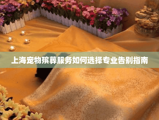 上海宠物殡葬服务如何选择专业告别指南