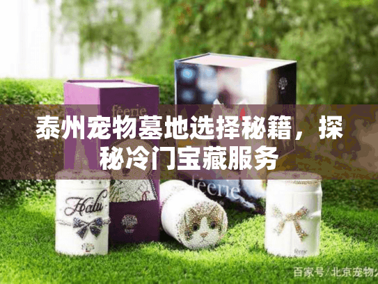 泰州宠物墓地选择秘籍，探秘冷门宝藏服务