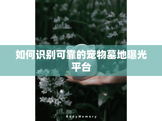 如何识别可靠的宠物墓地曝光平台