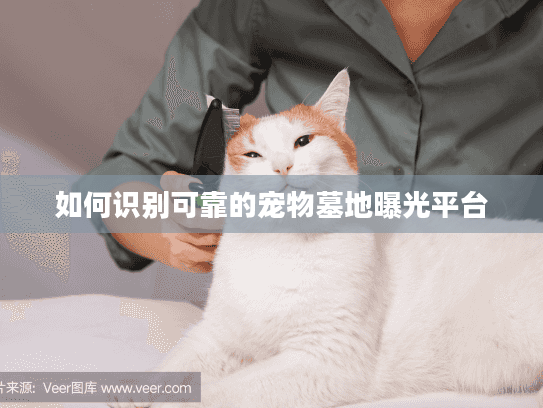 如何识别可靠的宠物墓地曝光平台 如何识别可靠的宠物墓地曝光平台