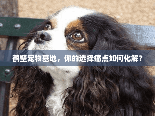 鹤壁宠物墓地，你的选择痛点如何化解？