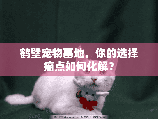 鹤壁宠物墓地，你的选择痛点如何化解？