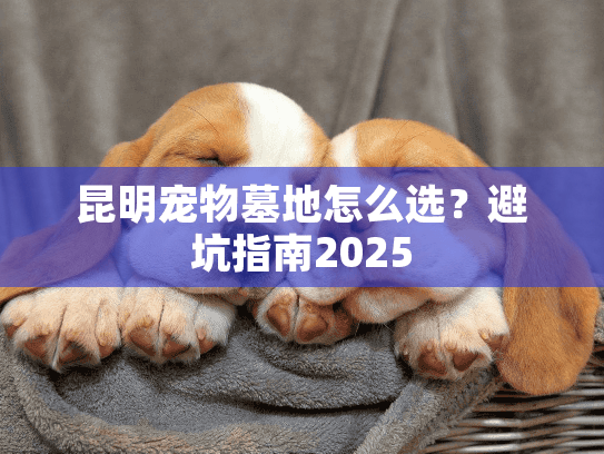 昆明宠物墓地怎么选？避坑指南2025