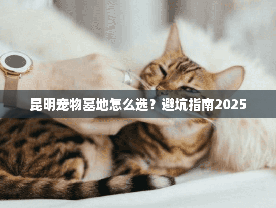 昆明宠物墓地怎么选？避坑指南2025