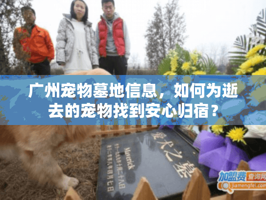 广州宠物墓地信息，如何为逝去的宠物找到安心归宿？