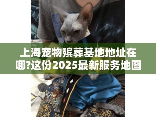 上海宠物殡葬基地地址在哪?这份2025最新服务地图请收好