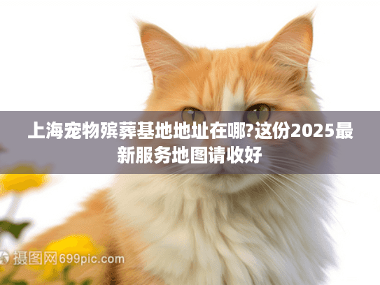 上海宠物殡葬基地地址在哪?这份2025最新服务地图请收好
