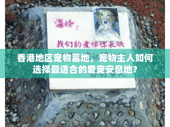 香港地区宠物墓地,宠物主人如何选择最适合的爱宠安息地? 香港地区宠物墓地,宠物主人如何选择最适合的爱宠安息地?
