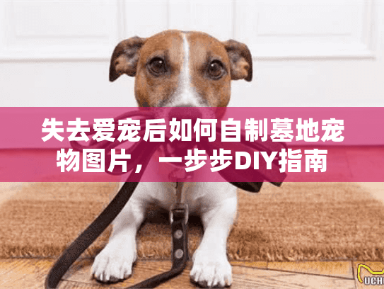 失去爱宠后如何自制墓地宠物图片，一步步DIY指南
