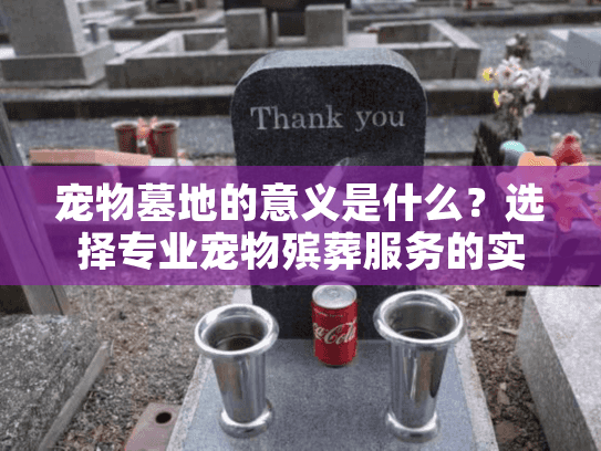 宠物墓地的意义是什么？选择专业宠物殡葬服务的实用指南