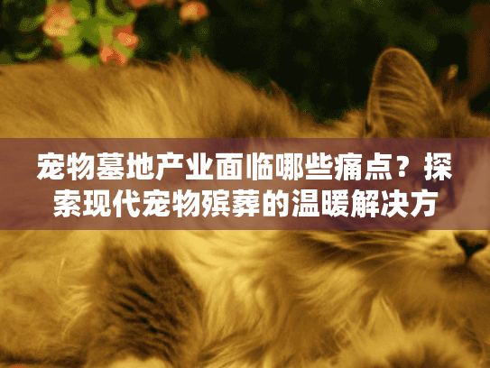 宠物墓地产业面临哪些痛点？探索现代宠物殡葬的温暖解决方案