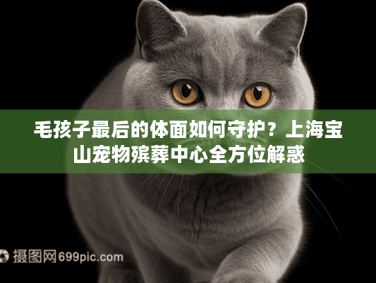 毛孩子最后的体面如何守护？上海宝山宠物殡葬中心全方位解惑