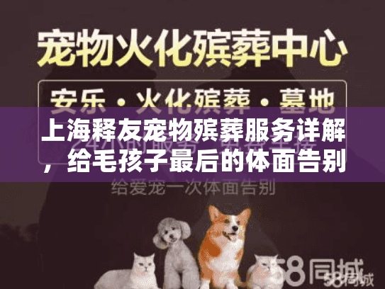 上海释友宠物殡葬服务详解，给毛孩子最后的体面告别