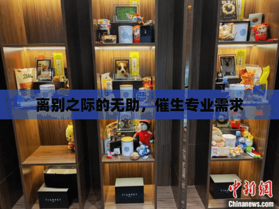 离别之际的无助，催生专业需求