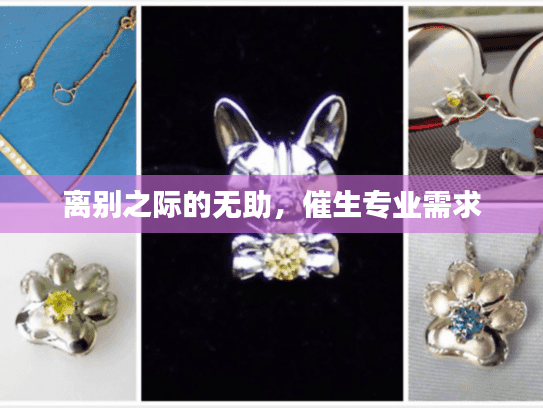 离别之际的无助，催生专业需求