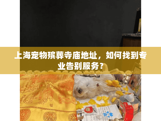 上海宠物殡葬寺庙地址，如何找到专业告别服务？