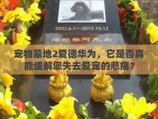 宠物墓地2爱德华为，它是否真能缓解您失去爱宠的悲痛？