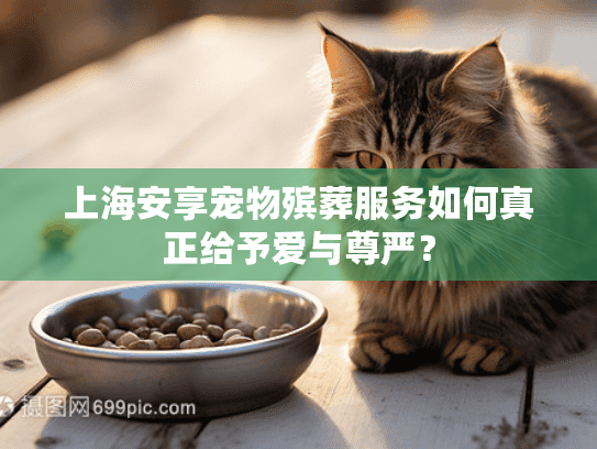 上海安享宠物殡葬服务如何真正给予爱与尊严？