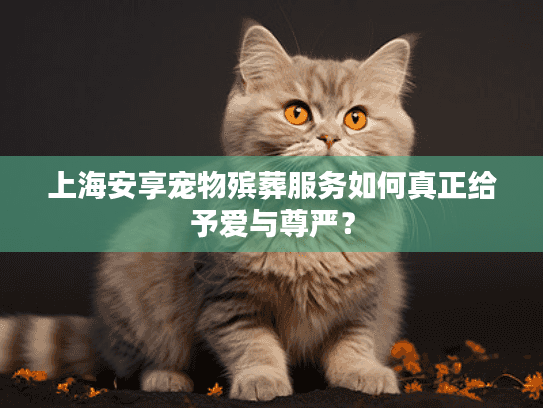 上海安享宠物殡葬服务如何真正给予爱与尊严？