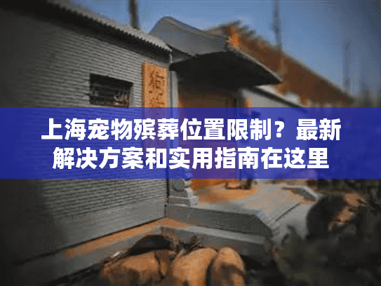 上海宠物殡葬位置限制？最新解决方案和实用指南在这里