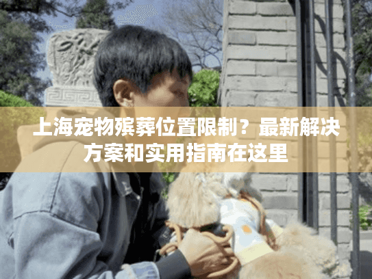 上海宠物殡葬位置限制？最新解决方案和实用指南在这里